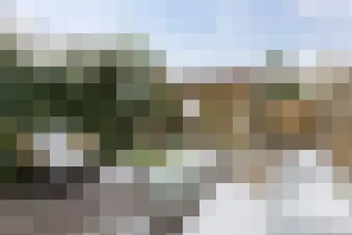 Grote Kruisstraat 14 Groningen thumbnail 32
