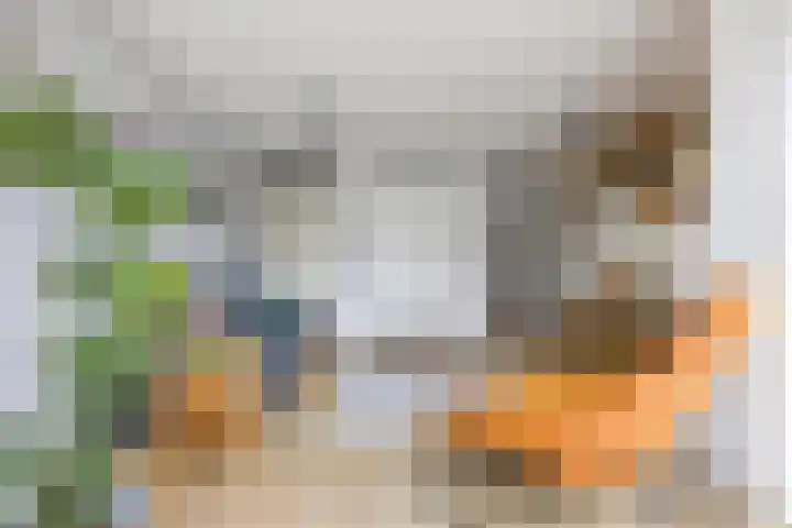 Grote Kruisstraat 14 Groningen thumbnail 9