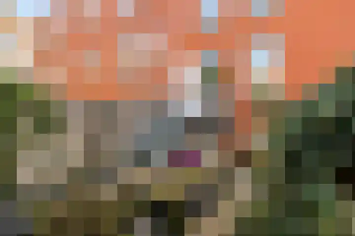 Grote Kruisstraat 21 Groningen thumbnail 23