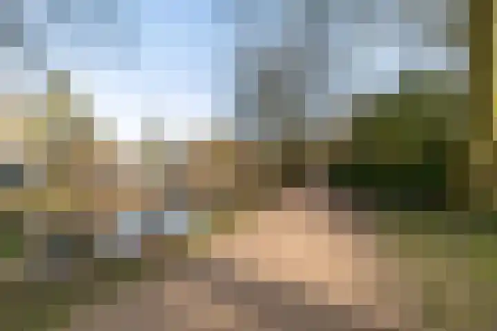Grote Kruisstraat 21 Groningen thumbnail 24
