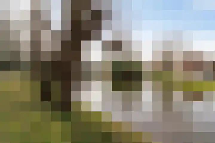 Grote Kruisstraat 21 Groningen thumbnail 25