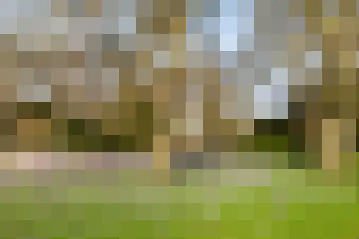 Grote Kruisstraat 21 Groningen thumbnail 26