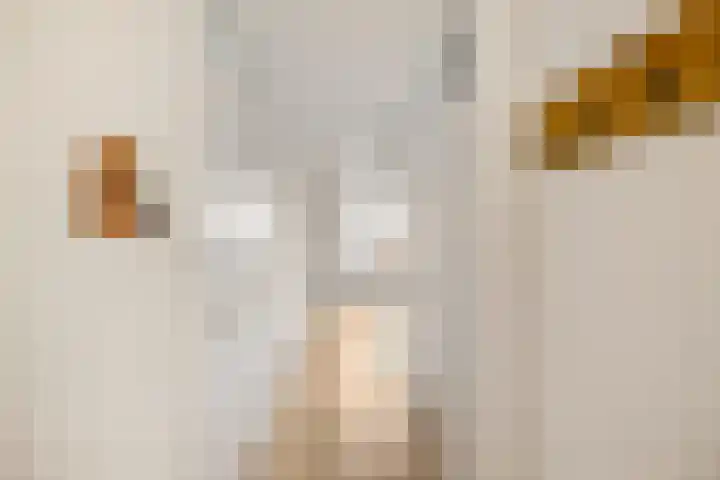 Grote Kruisstraat 21 Groningen thumbnail 5