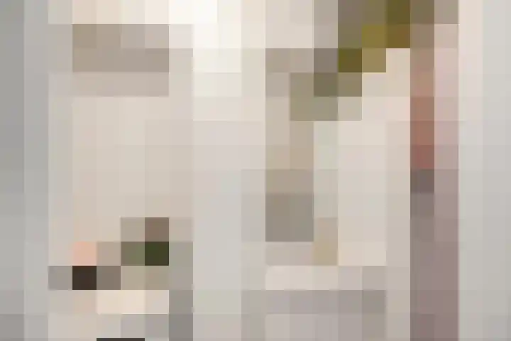 Grote Kruisstraat 21 Groningen thumbnail 8