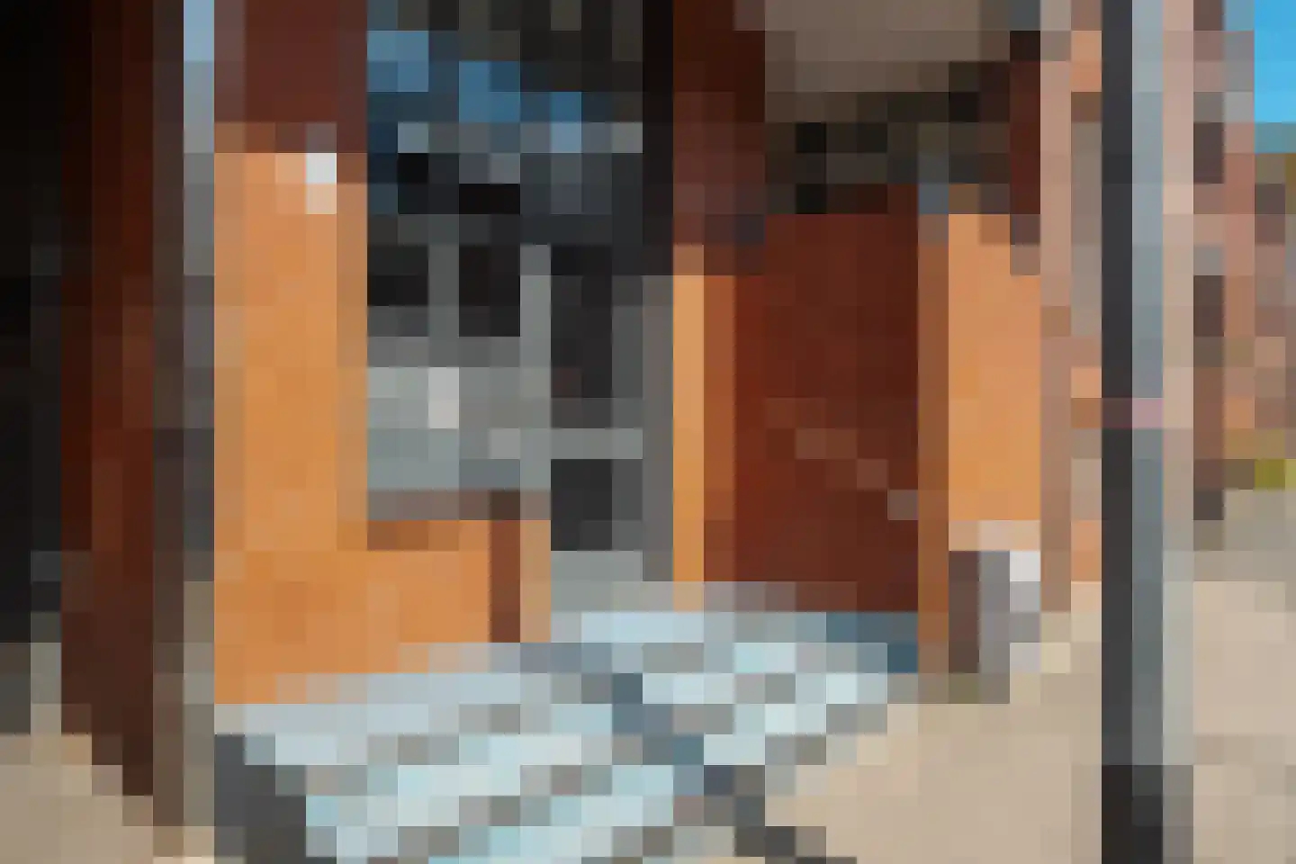 Grote Kruisstraat 33 Groningen thumbnail 11