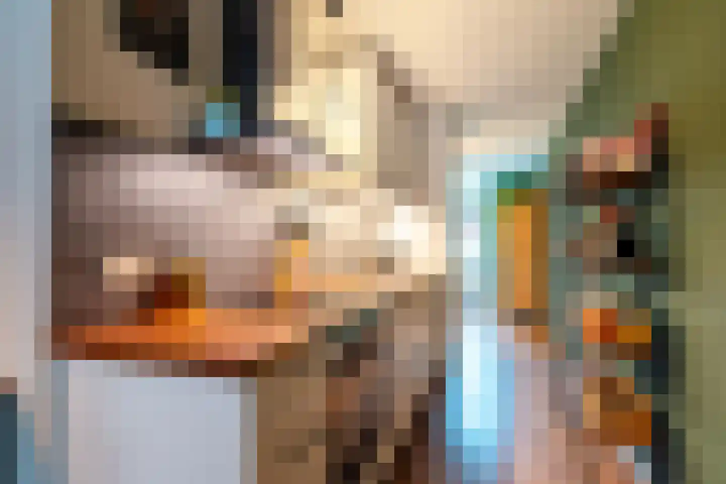 Grote Kruisstraat 33 Groningen thumbnail 24