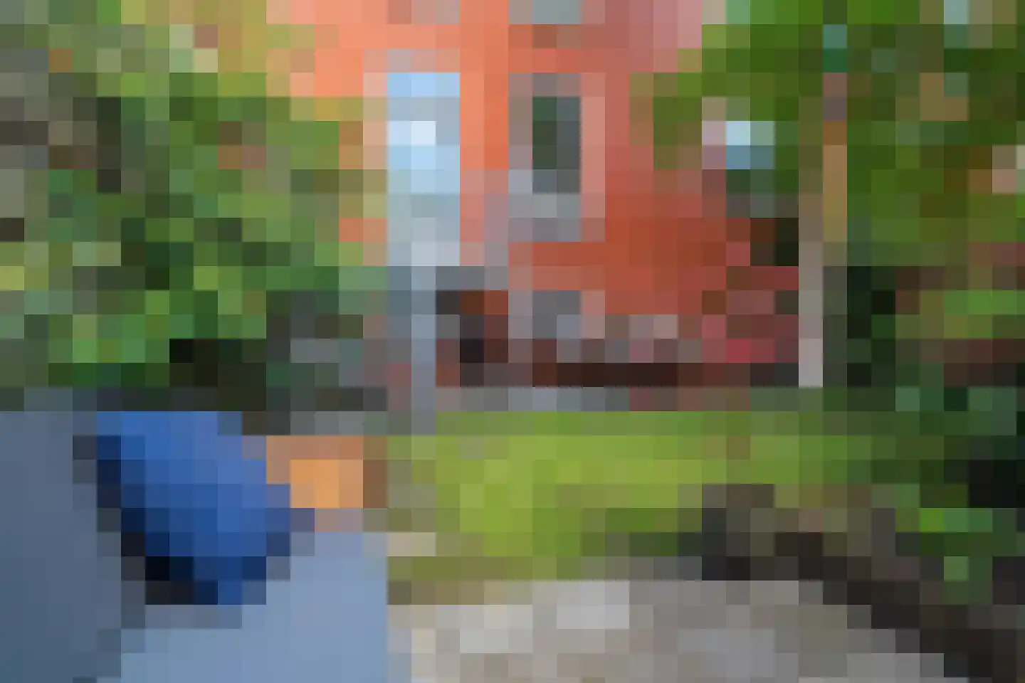 Grote Kruisstraat 33 Groningen thumbnail 37