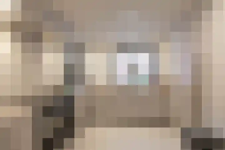 Grote Kruisstraat 4 Groningen thumbnail 18