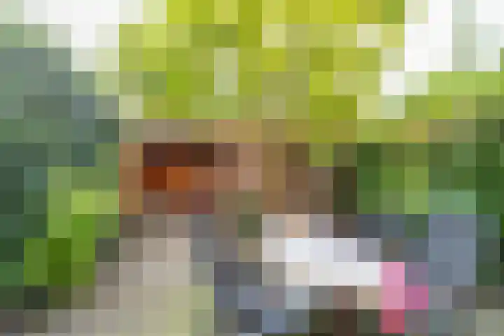 Grote Kruisstraat 4 Groningen thumbnail 26