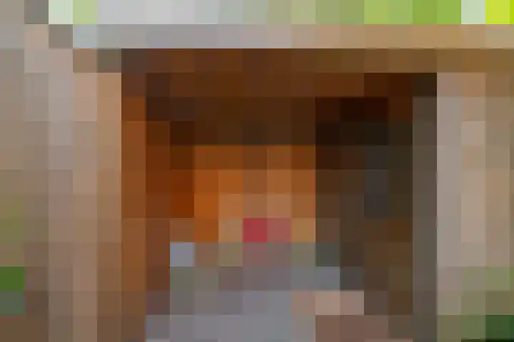Grote Kruisstraat 4 Groningen thumbnail 27