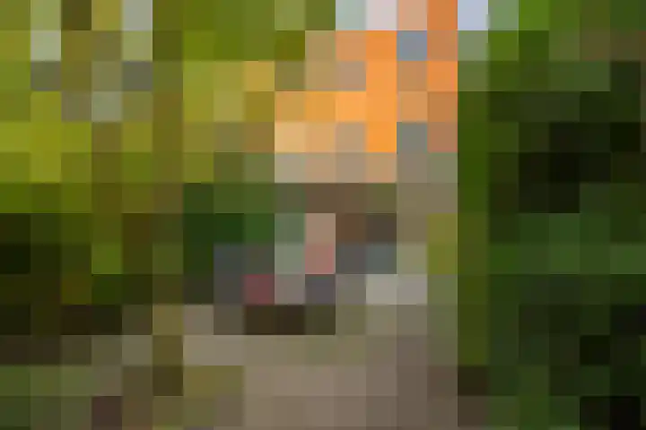 Grote Kruisstraat 4 Groningen thumbnail 28