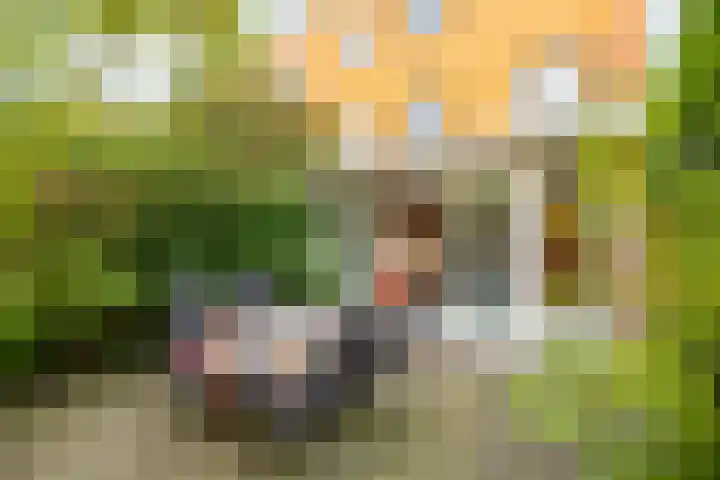Grote Kruisstraat 4 Groningen thumbnail 29