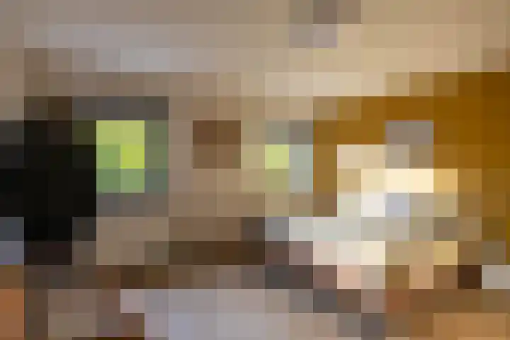 Grote Kruisstraat 4 Groningen thumbnail 30