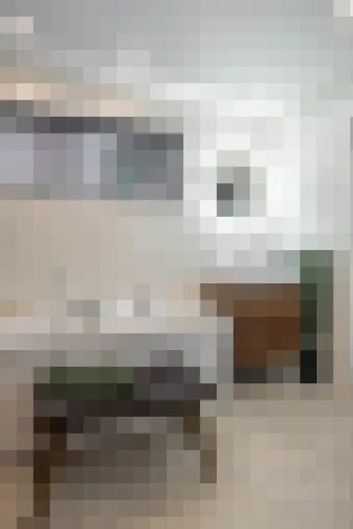 Grote Kruisstraat 4 Groningen thumbnail 37