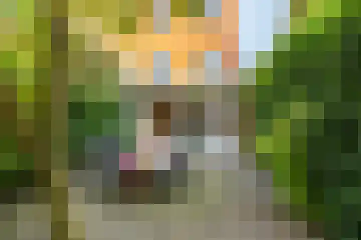 Grote Kruisstraat 4 Groningen thumbnail 4