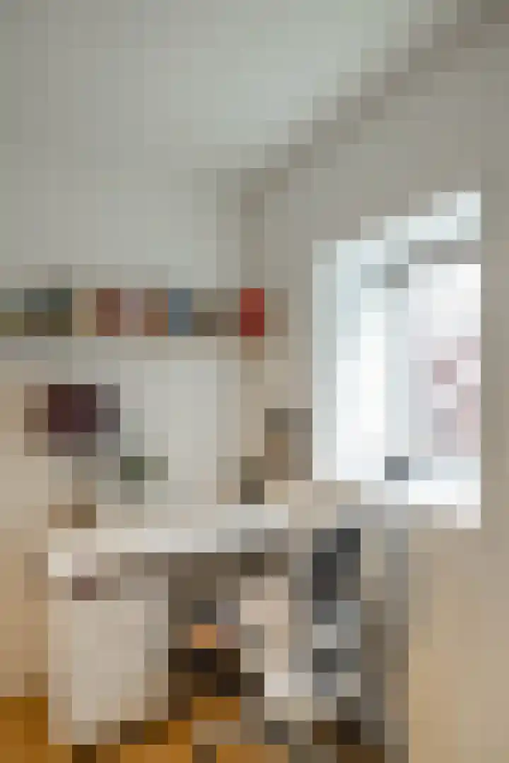 Grote Kruisstraat 4 Groningen thumbnail 52