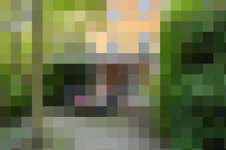 Grote Kruisstraat 4 Groningen thumbnail 57