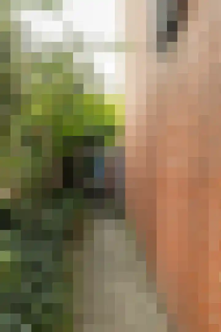 Grote Kruisstraat 4 Groningen thumbnail 58