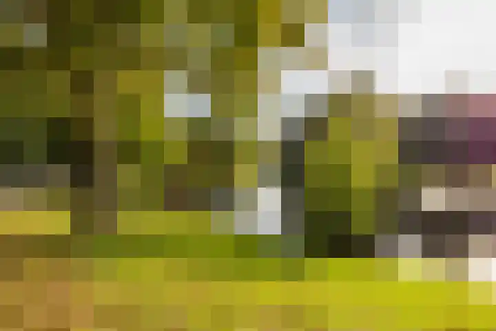 Grote Kruisstraat 4 Groningen thumbnail 62
