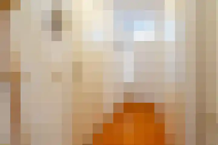 Grote Kruisstraat 59 Groningen thumbnail 17