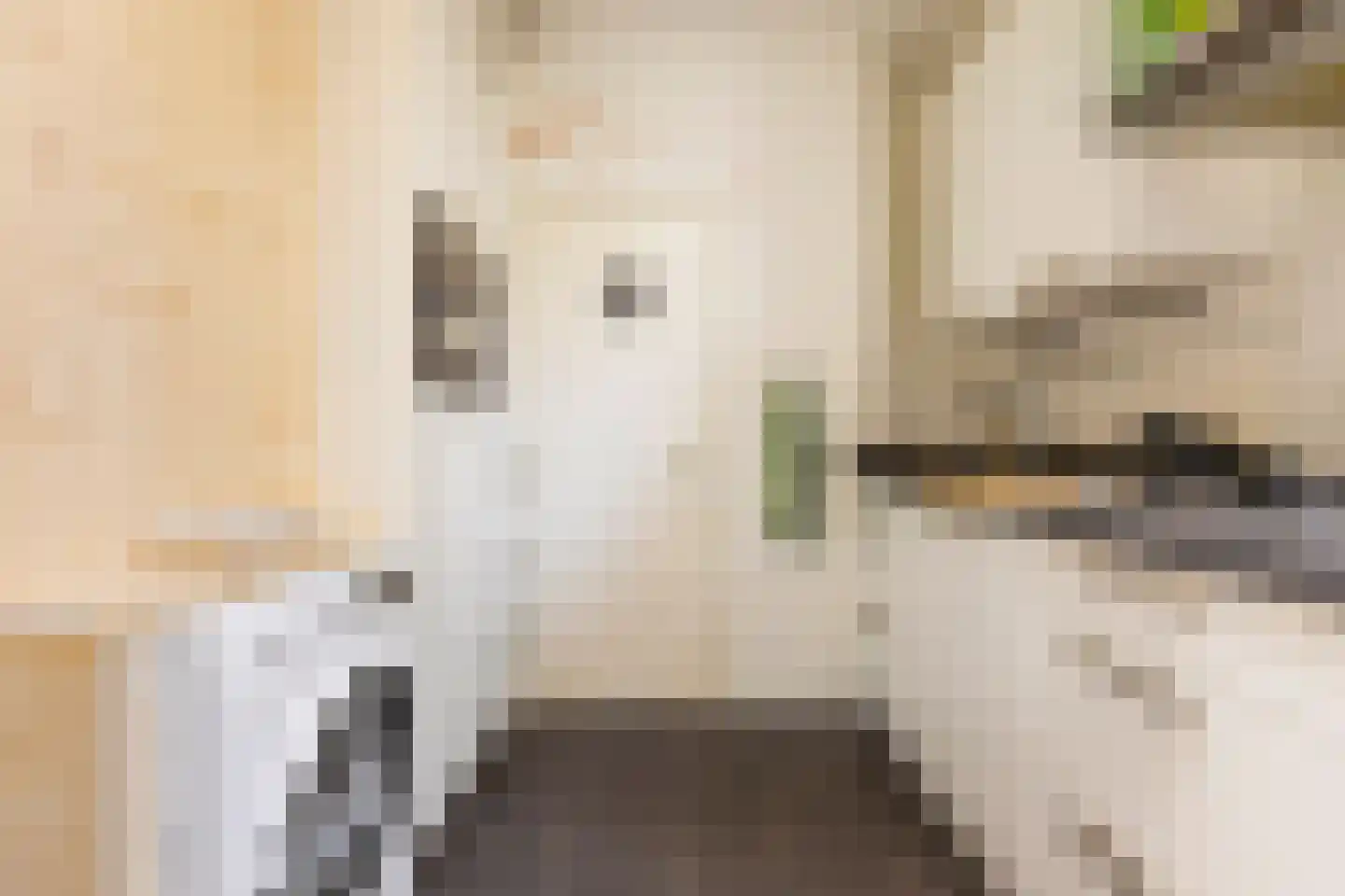 Grote Kruisstraat 71 Groningen thumbnail 12