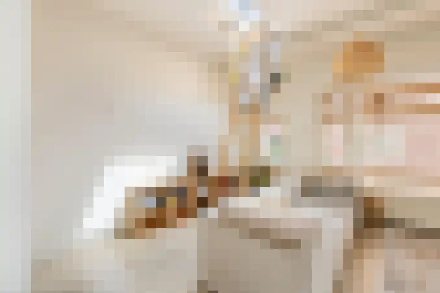Grote Kruisstraat 71 Groningen thumbnail 21