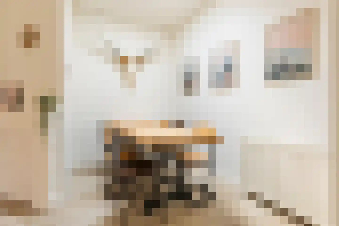 Grote Kruisstraat 71 Groningen thumbnail 23
