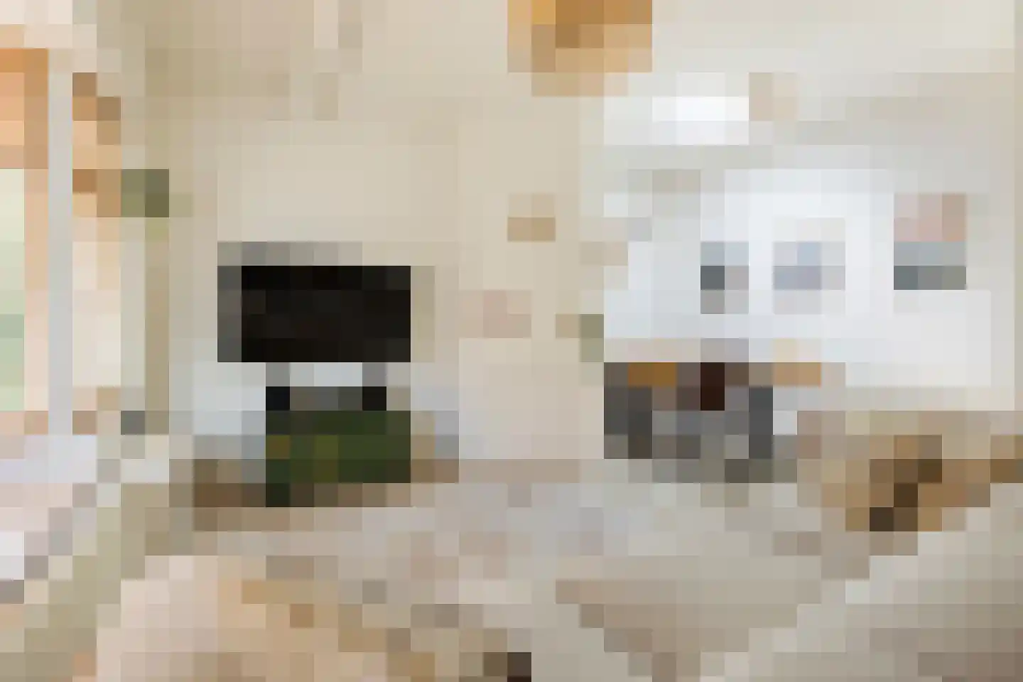 Grote Kruisstraat 71 Groningen thumbnail 28