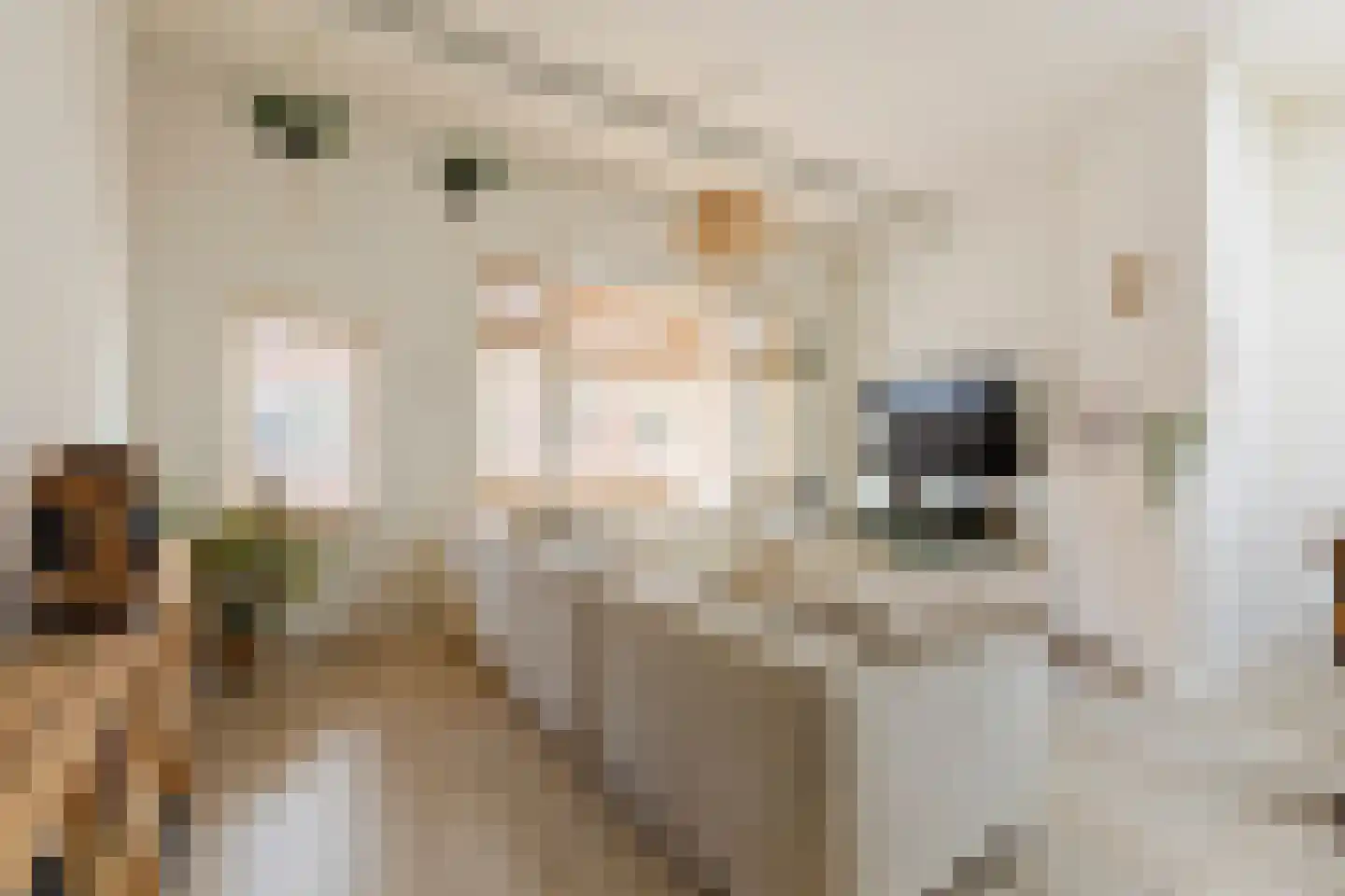 Grote Kruisstraat 71 Groningen thumbnail 34