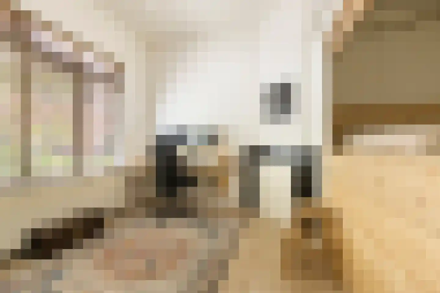Grote Kruisstraat 71 Groningen thumbnail 8