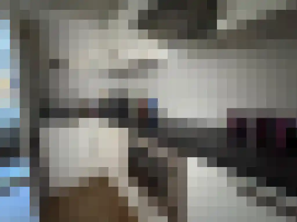 Grote Leliestraat 1 Groningen thumbnail 4