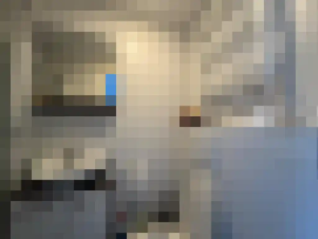 Grote Leliestraat 1 Groningen thumbnail 5