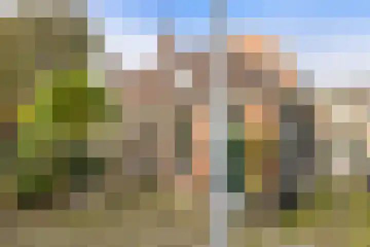 Grote Leliestraat 12 7 Groningen thumbnail 22