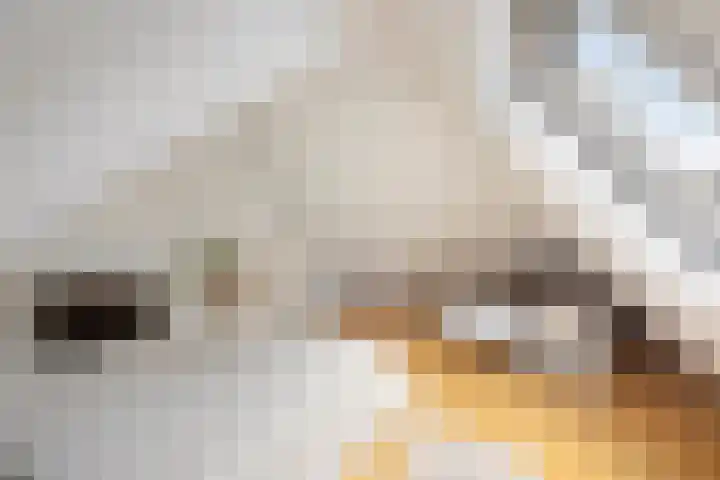 Grote Leliestraat 12 7 Groningen thumbnail 5