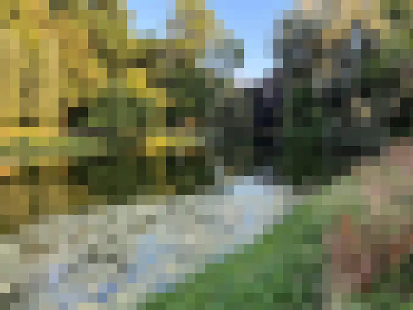 Grote Leliestraat 127 Groningen thumbnail 43