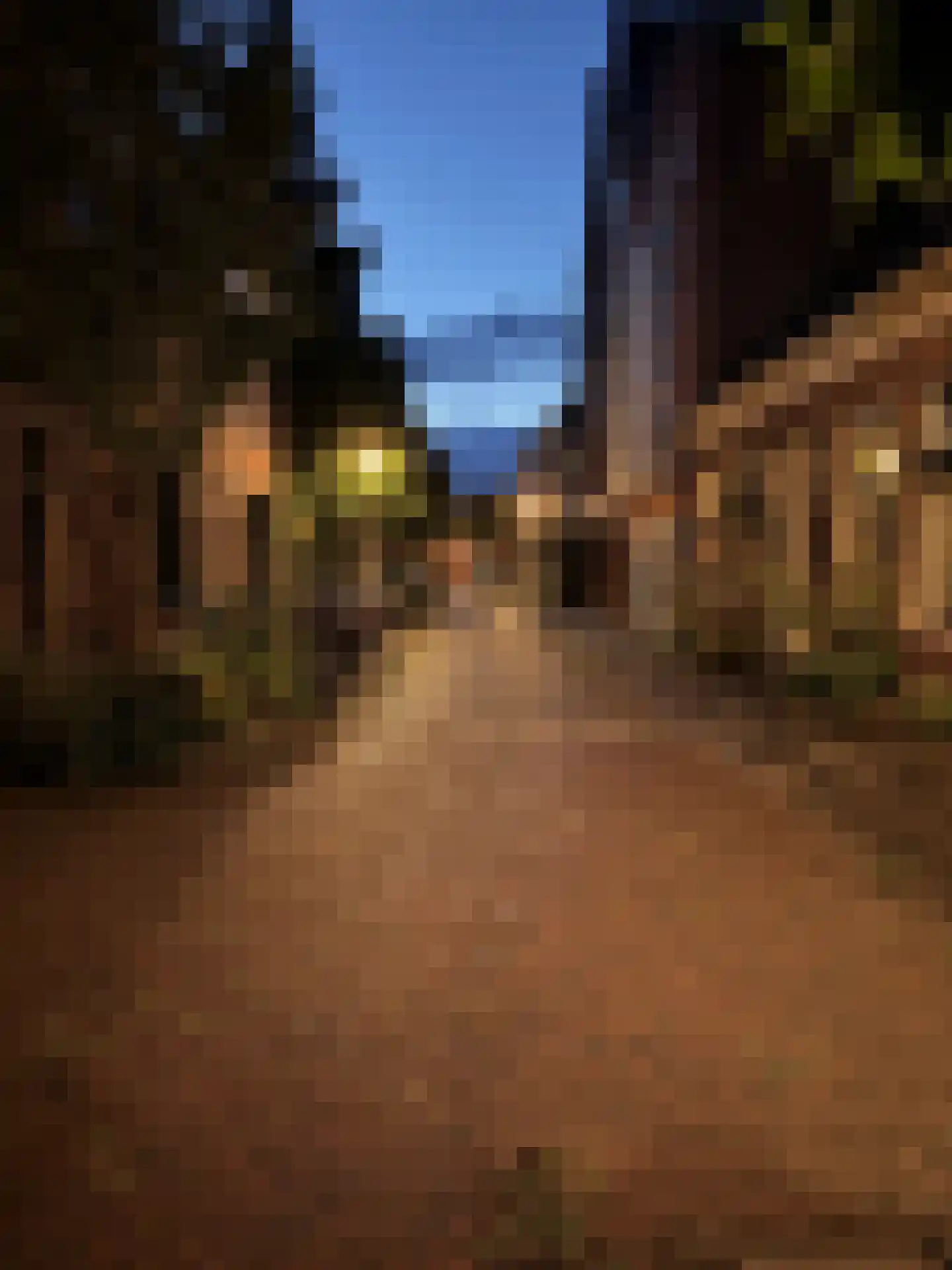 Grote Leliestraat 127 Groningen thumbnail 46