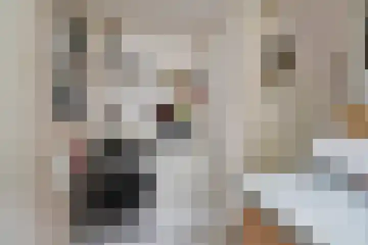 Grote Leliestraat 44 Groningen thumbnail 7