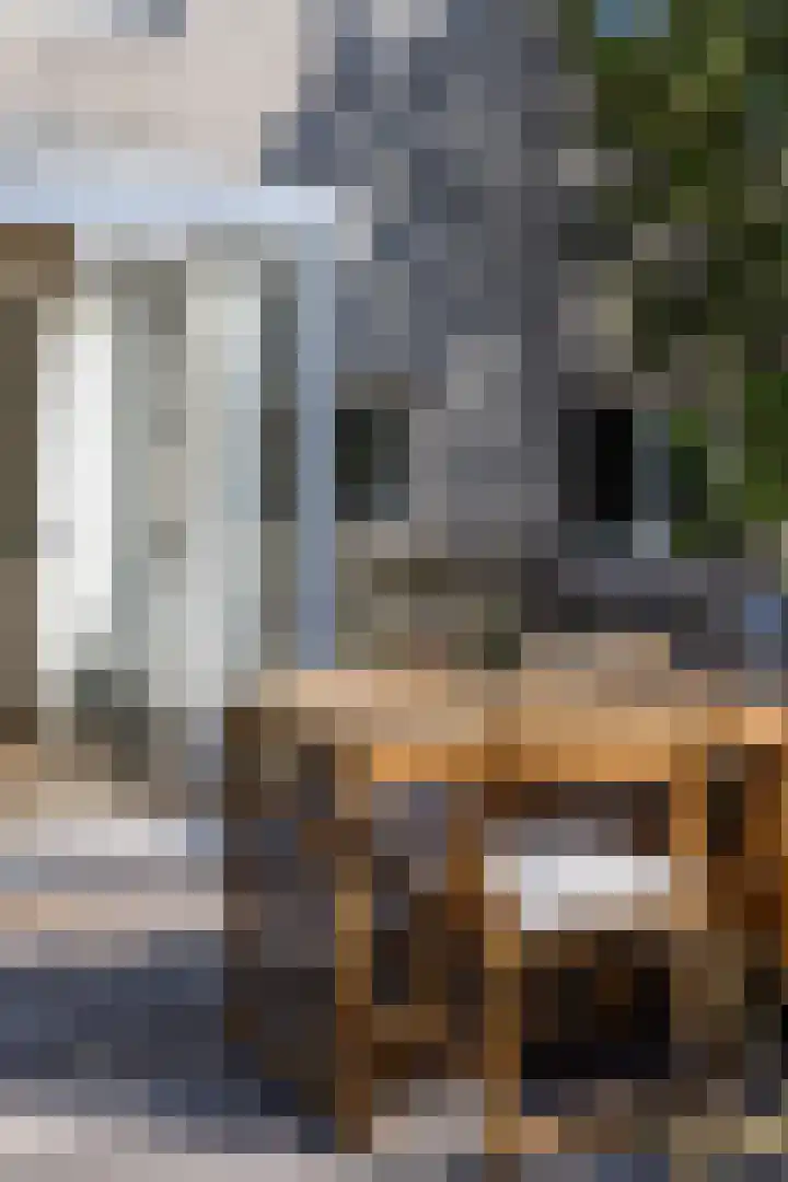 Grote Leliestraat 60 a Groningen thumbnail 33