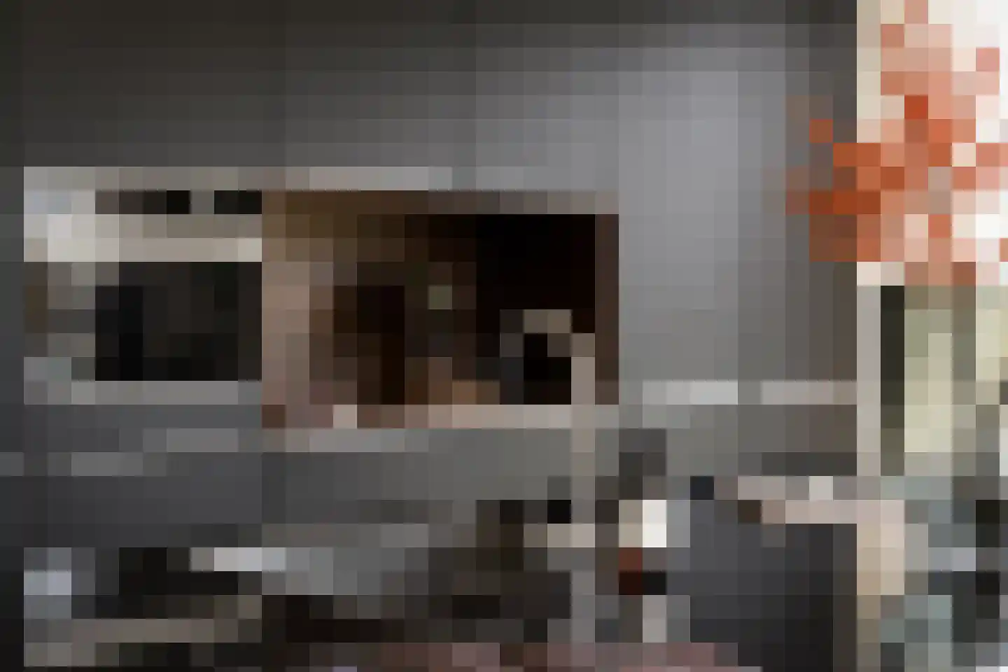 Grote Lijster 1 Muiden thumbnail 17