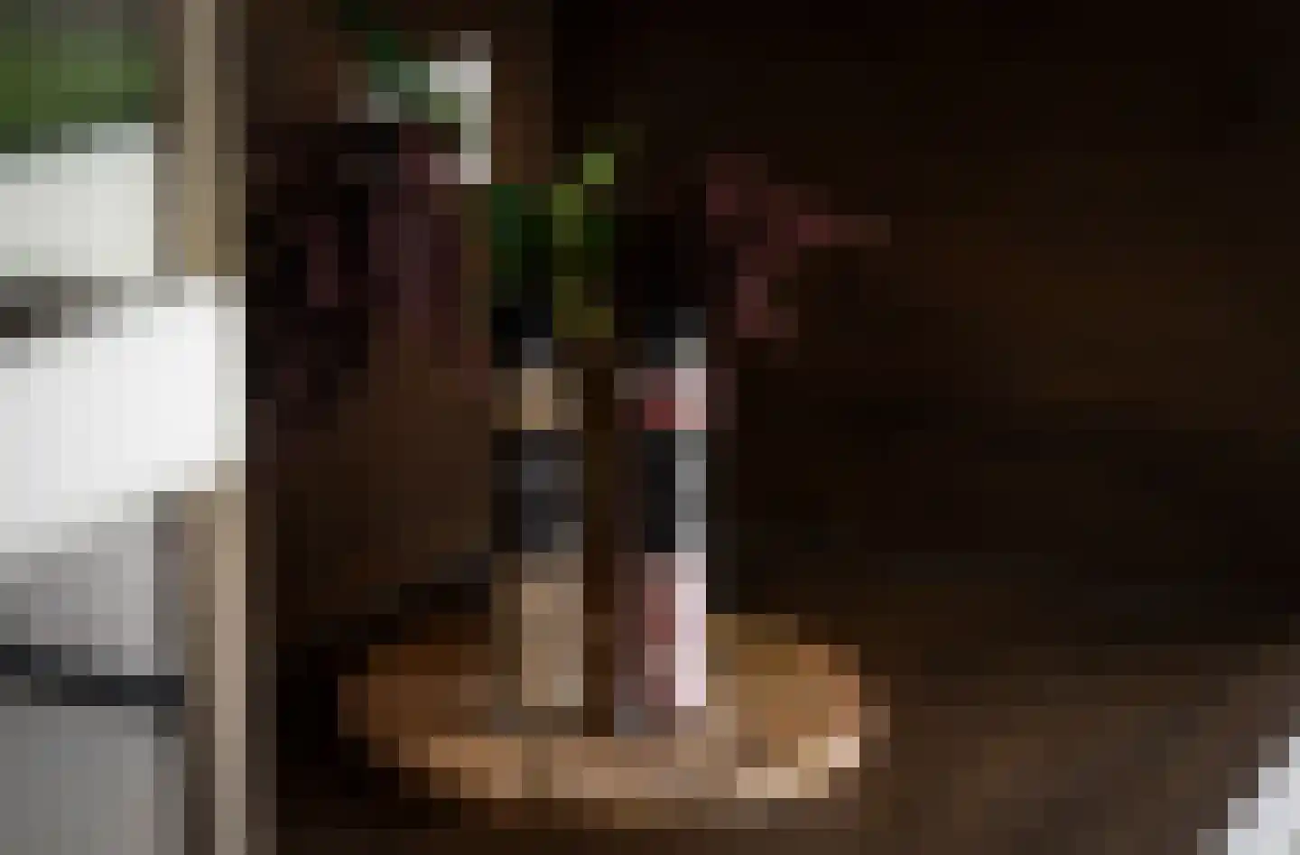 Grote Lijster 1 Muiden thumbnail 18