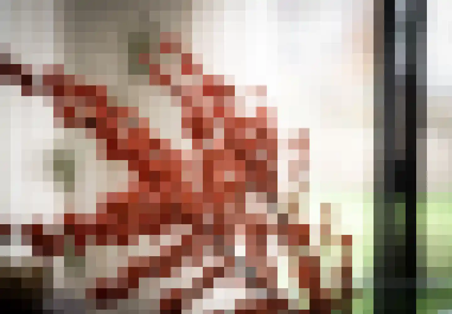 Grote Lijster 1 Muiden thumbnail 19