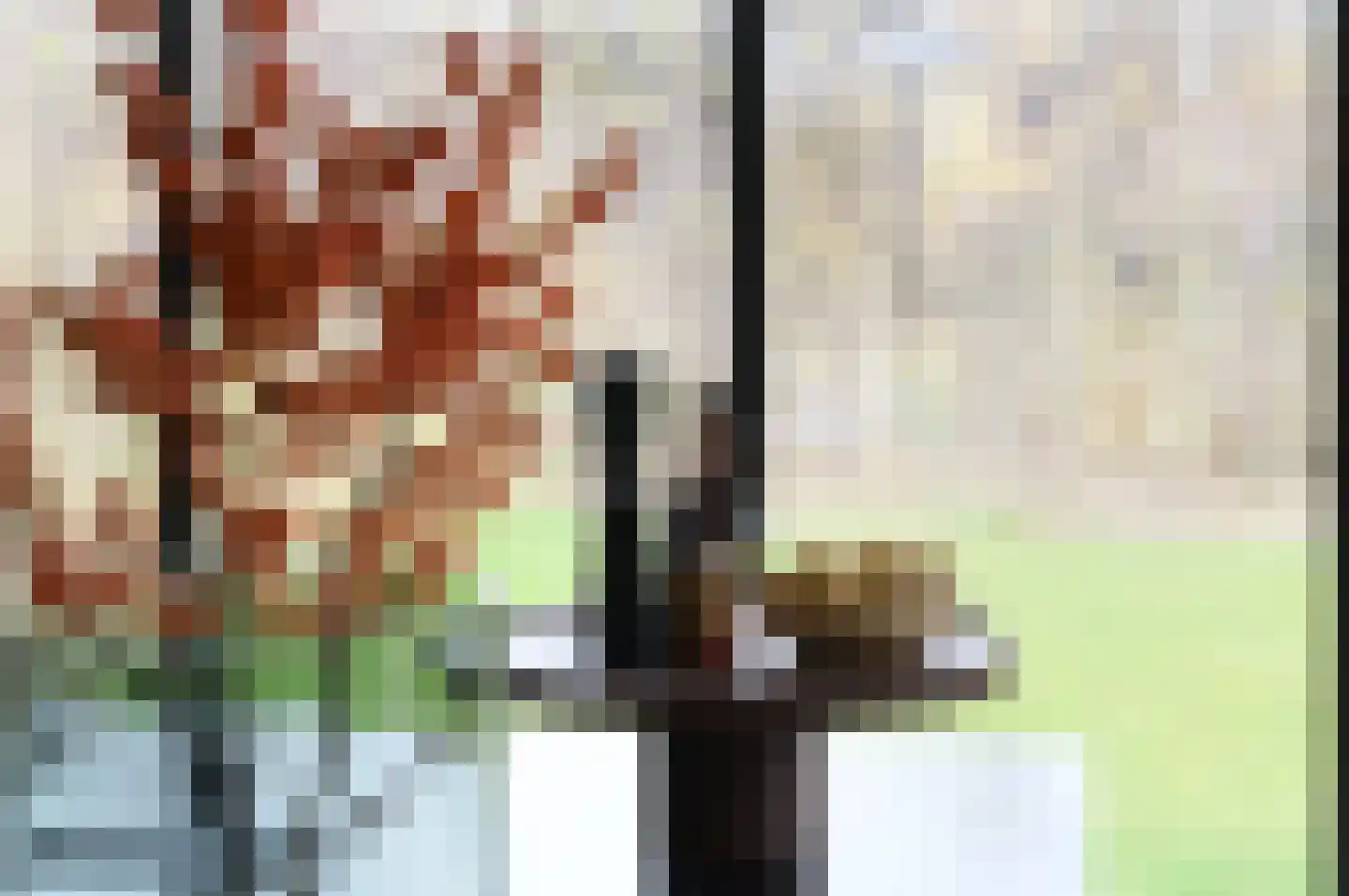 Grote Lijster 1 Muiden thumbnail 20