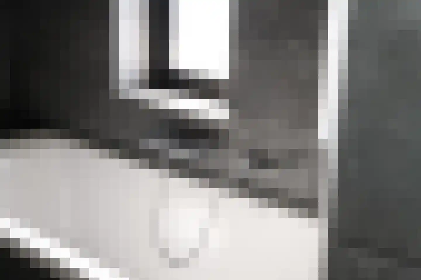 Grote Lijster 1 Muiden thumbnail 33