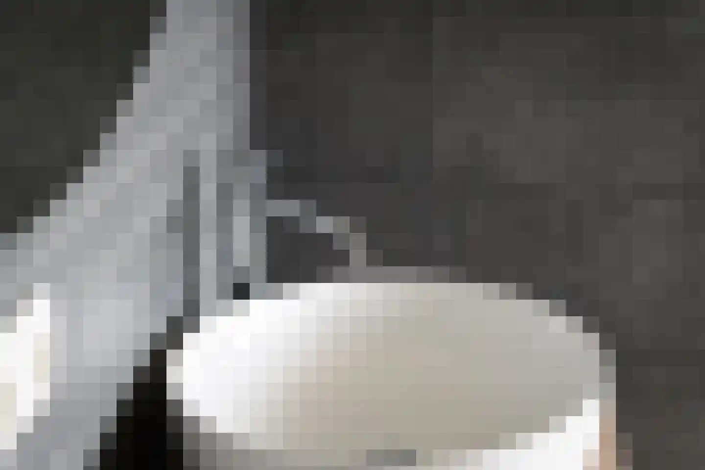 Grote Lijster 1 Muiden thumbnail 34