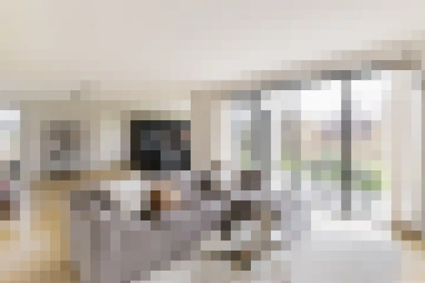 Grote Lijster 1 Muiden thumbnail 5