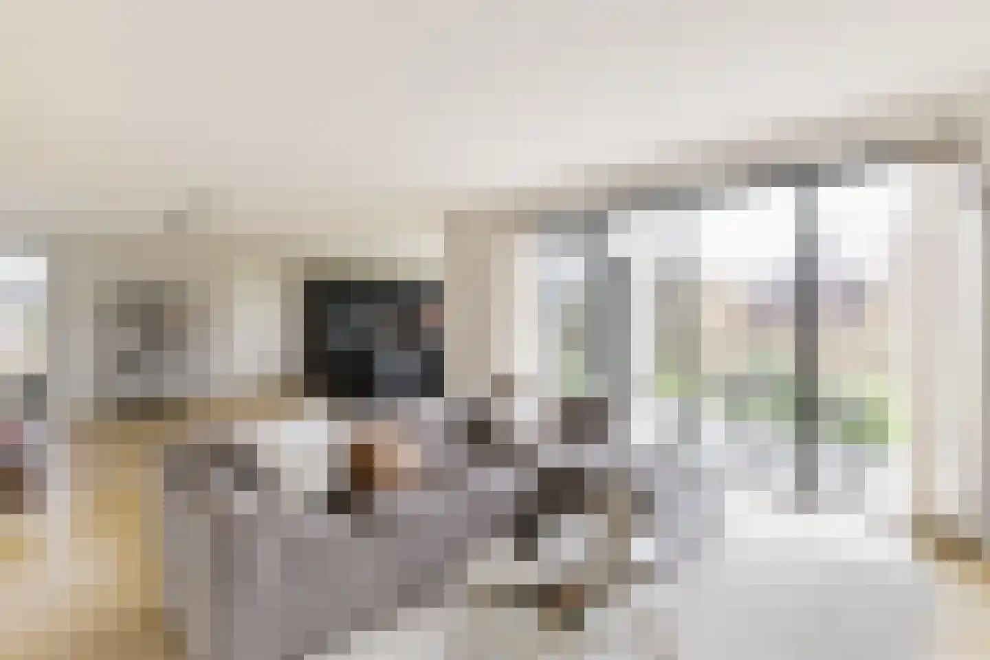 Grote Lijster 1 Muiden thumbnail 5