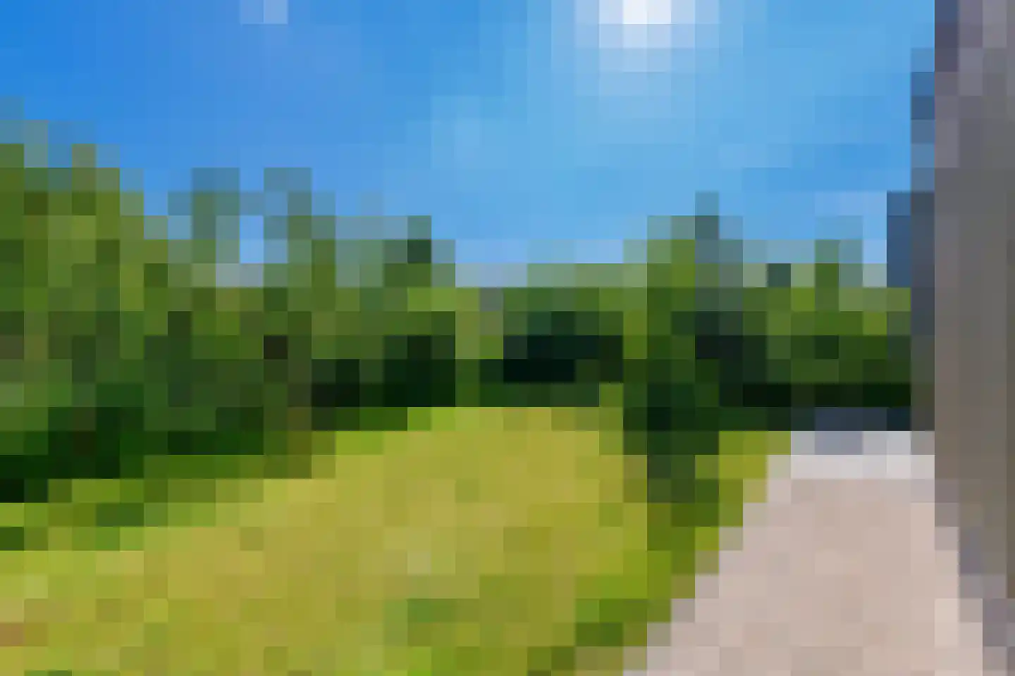 Grote Lijster 1 Muiden thumbnail 50