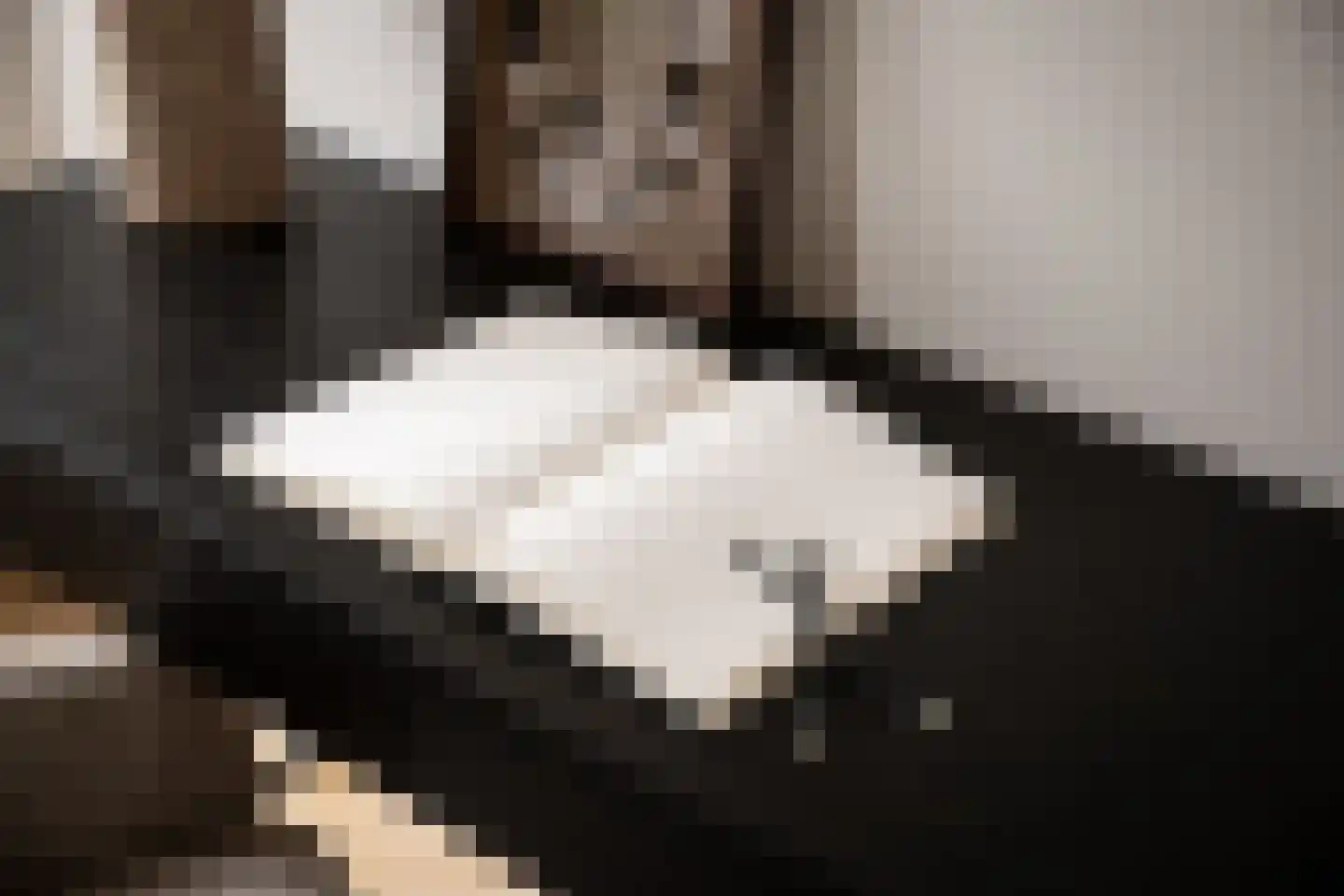 Grote Lijster 1 Muiden thumbnail 9
