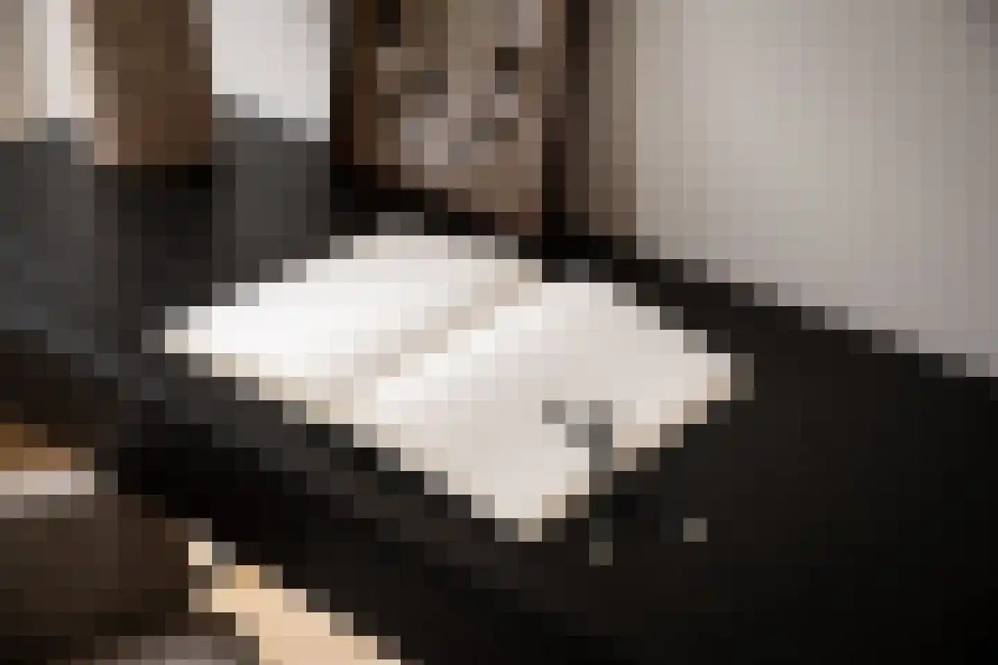 Grote Lijster 1 Muiden thumbnail 9