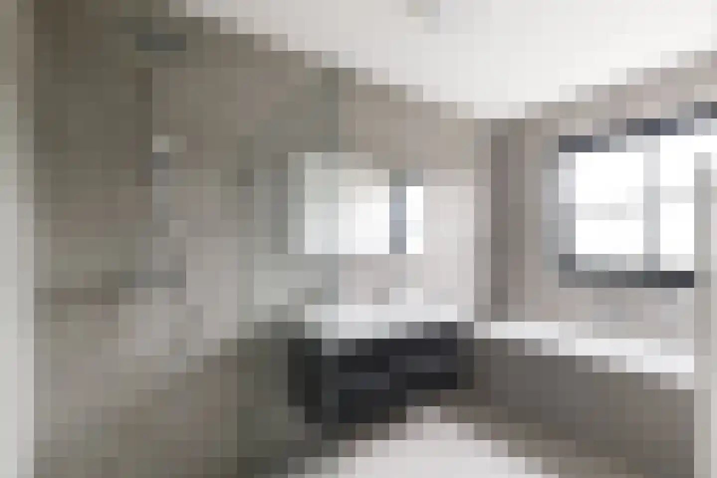 Grote Lijster 11 Muiden thumbnail 21